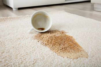 Carpet Stain Removal in Hampton, Georgia by Certified Green Team