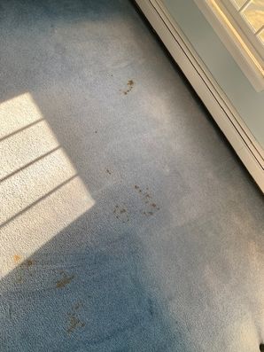 Before & After Carpet Stain Removal in Sandy Springs, GA (1)