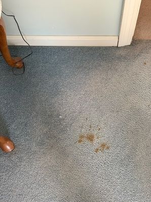 Before & After Carpet Stain Removal in Sandy Springs, GA (2)